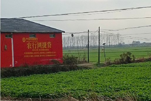 镇沅如何防止墙体广告褪色呢？