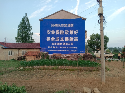 镇沅墙体广告为何受追捧？