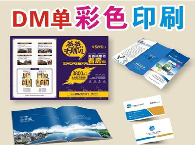 镇沅单页印刷,色彩搭配简单。
